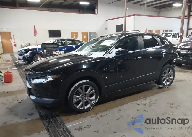 3MVDMBCLXLM116927: 44229531