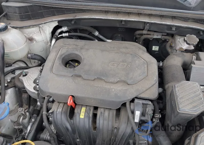 KNDPM3AC3J7309029: 44229659