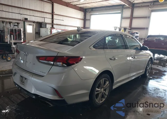 5NPE34AF5KH766299: 44229901