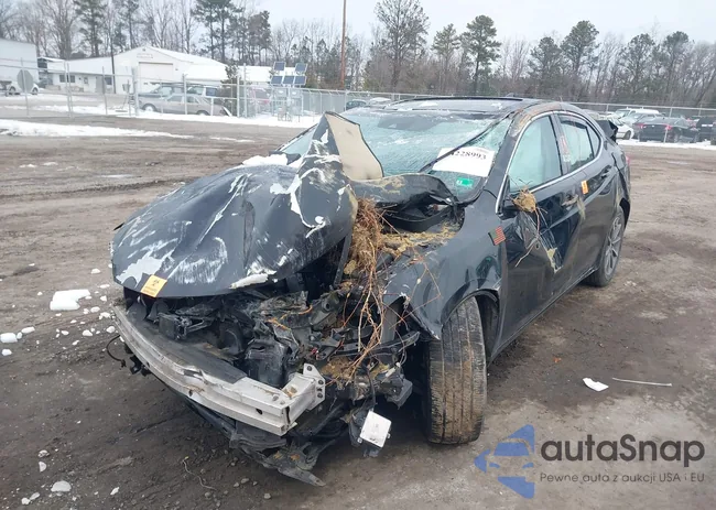 19UUB1F30JA010852: 44228993