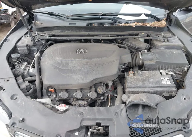 19UUB2F55HA005339: 44229229