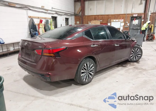 1N4BL4DV3PN304567: 44231419