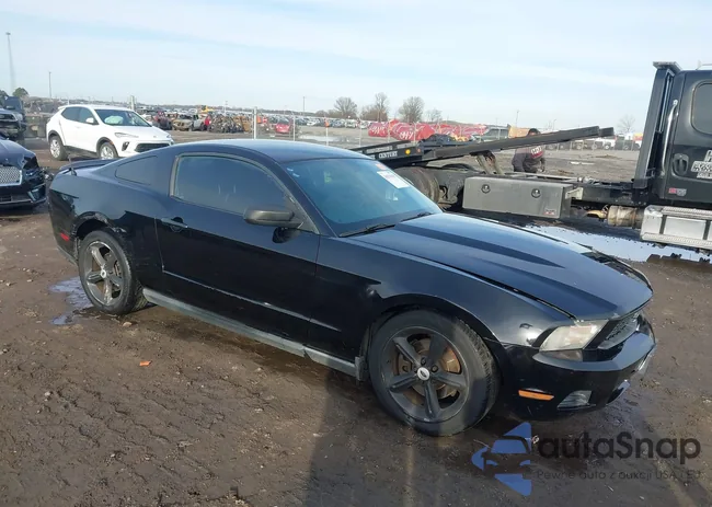 1ZVBP8AM1C5266345: 44231838