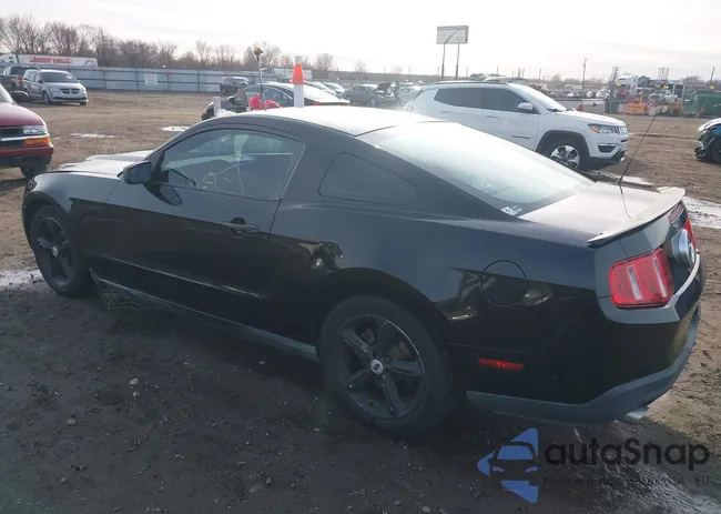 1ZVBP8AM1C5266345: 44231838