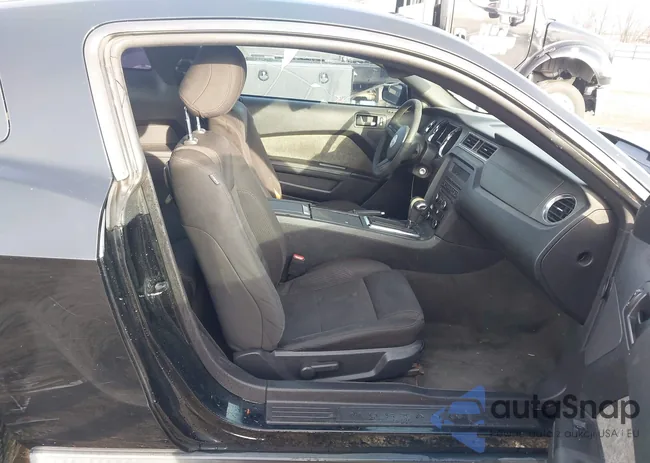 1ZVBP8AM1C5266345: 44231838