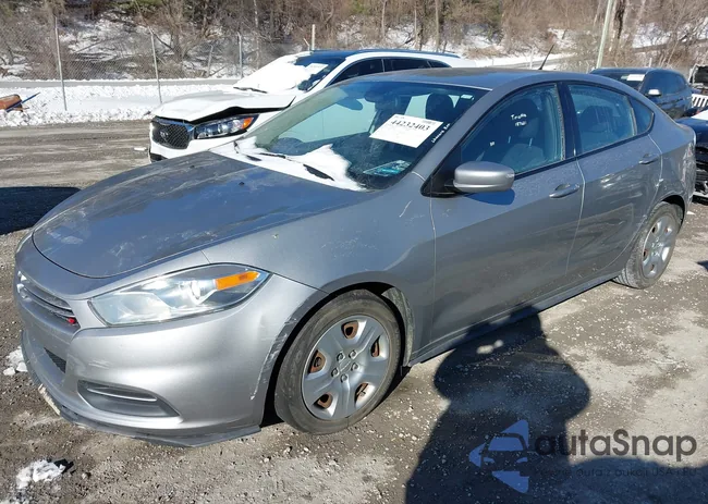 1C3CDFAA8FD187621: 44232403