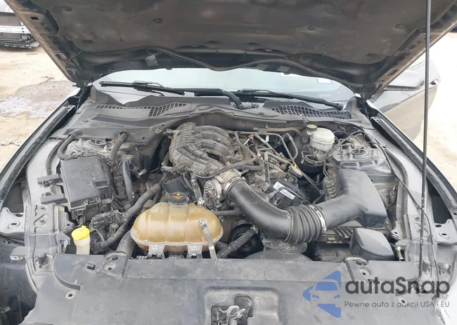 1FA6P8AM5F5319627: 44232546