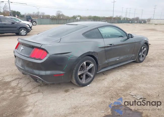 1FA6P8AM5F5319627: 44232546