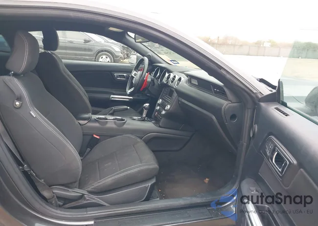 1FA6P8AM5F5319627: 44232546