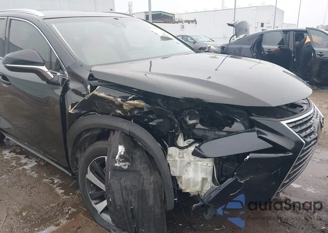 JTJYARBZ7J2105668: 44232561