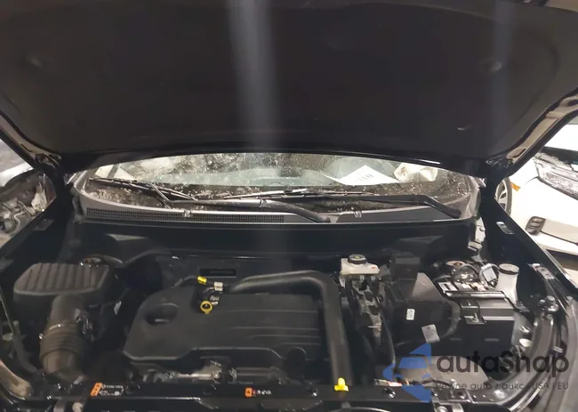 3GNAXUEG2PL232987: 44232210