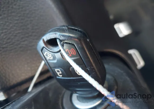 1ZVBP8AM2E5237195: 44232307