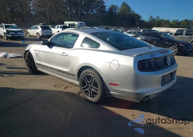 1ZVBP8AM2E5237195: 44232307