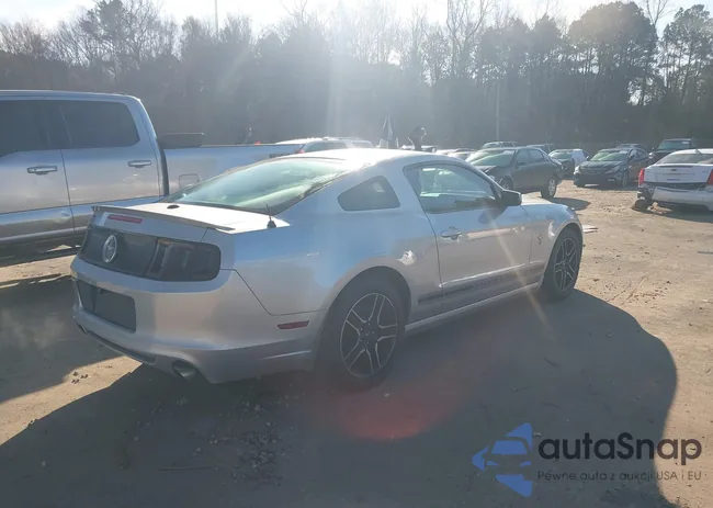 1ZVBP8AM2E5237195: 44232307