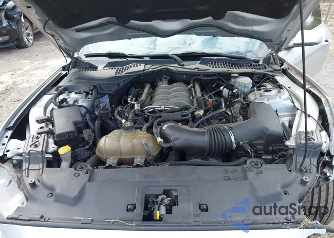 1FA6P8CF0K5142252: 44233548