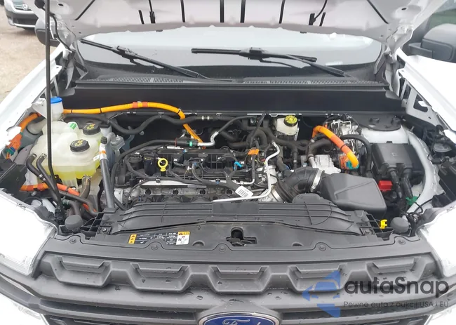 3FTTW8A31RRA03358: 44233576