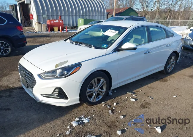 5NPE34AF2JH627374: 44234803