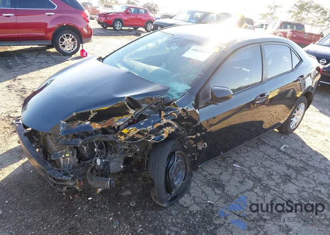 2T1BURHEXEC037569: 44234817