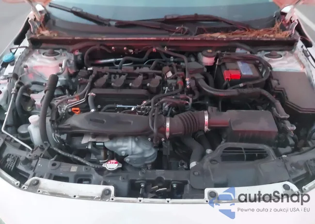 2HGFE1F96PH313441: 44235858