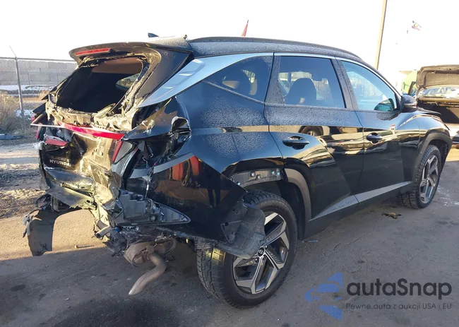 5NMJFCAE7PH223127: 44236420