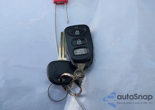 5NPD74LF9HH193137: 44236519