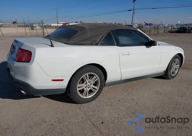 1ZVBP8EM2C5257227: 44236630