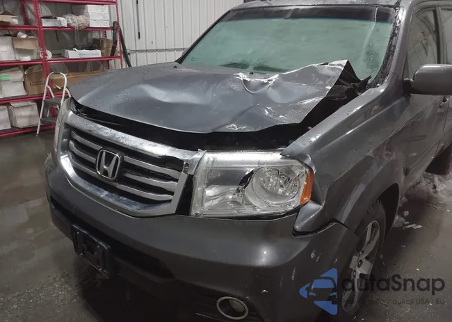 5FNYF4H9XDB014829: 44236713