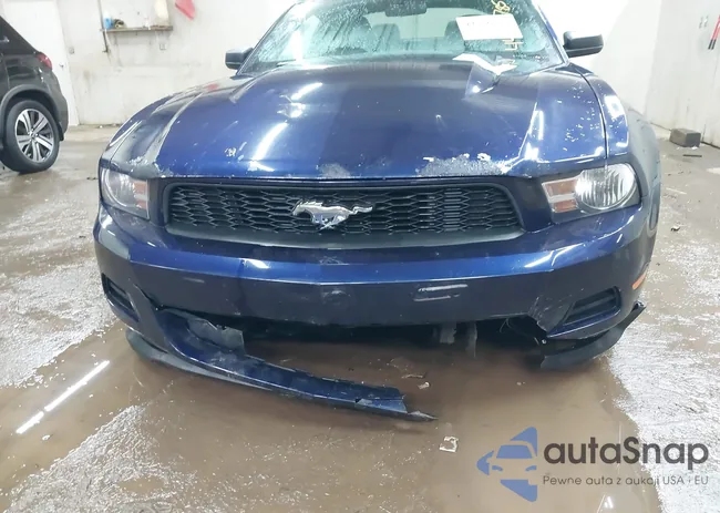 1ZVBP8AM2B5122124: 44236785