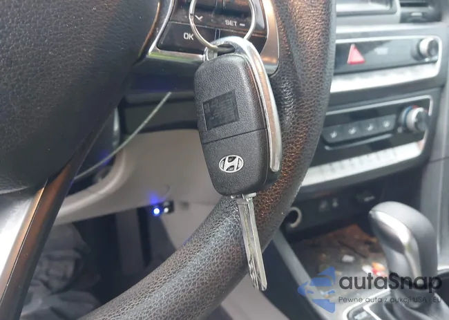 5NPE24AF9JH616813: 44236012