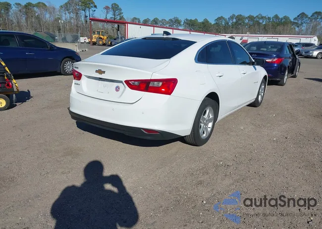 1G1ZB5ST2RF113781: 44236062