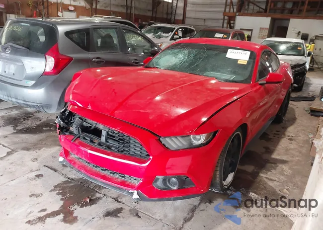 1FA6P8TH4G5222274: 44237131