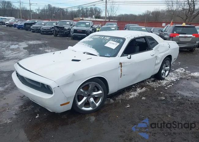 2C3CDYBTXCH125342: 44238272