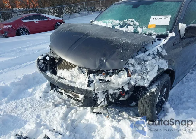 2C4RDGEGXLR199675: 44239287