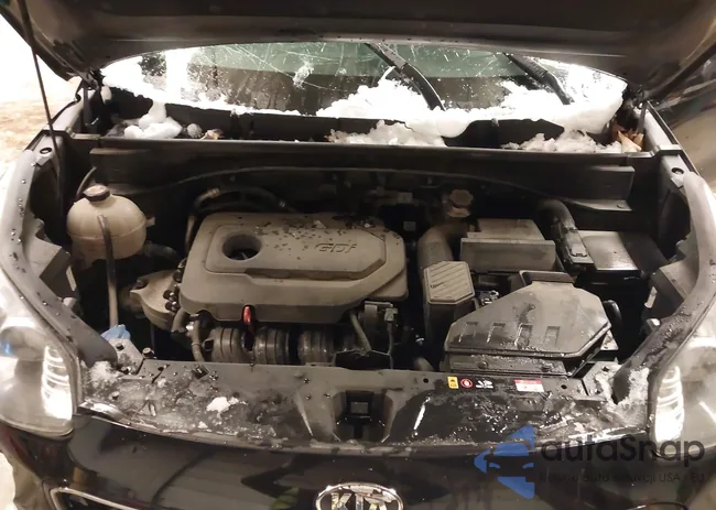 KNDPMCAC5K7550219: 44239447