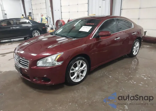 1N4AA5AP1DC808006: 44239638