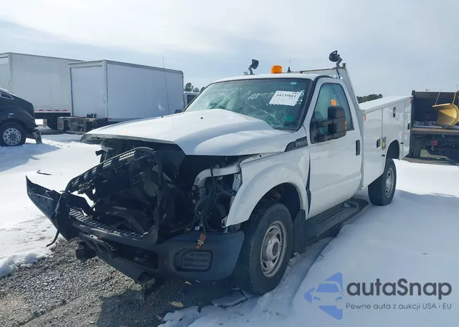 1FDBF2B68GEC75421: 44239811