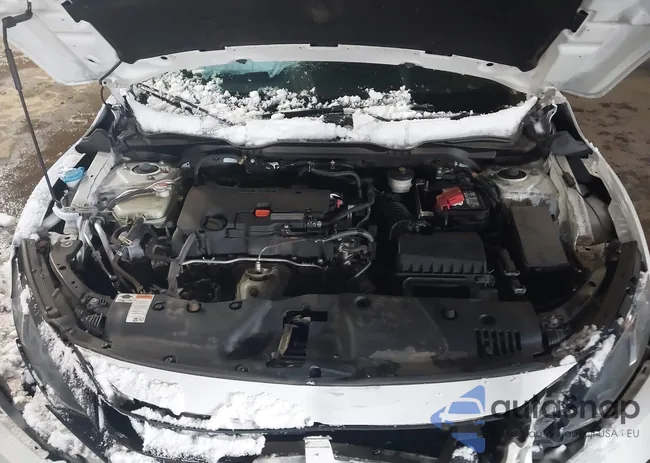 2HGFC2F6XLH542491: 44239142