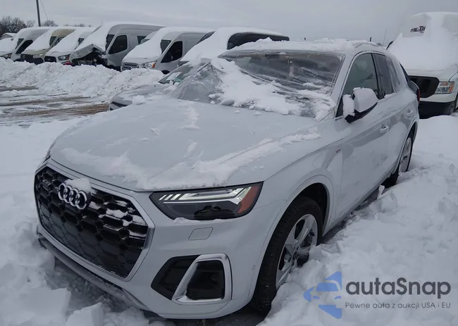 WA1FAAFY1S2026053: 44239231