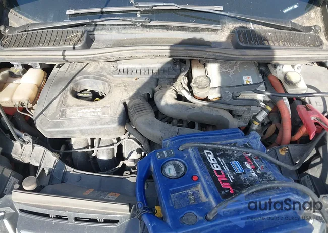 1FADP5CU3DL556077: 44240539