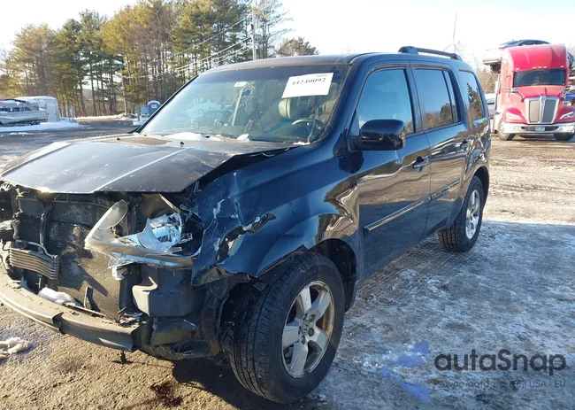 5FNYF4H58BB080869: 44240092