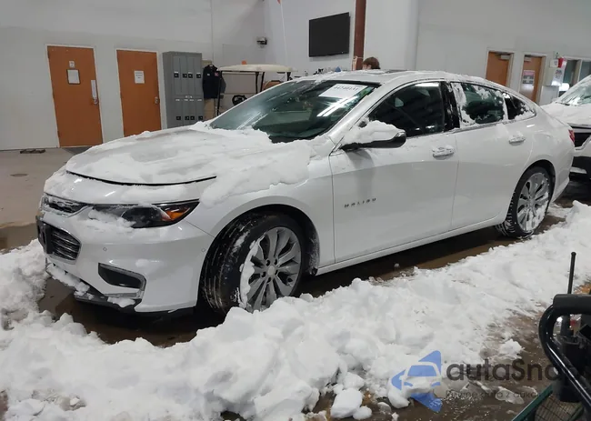 1G1ZH5SX3GF199066: 44240131