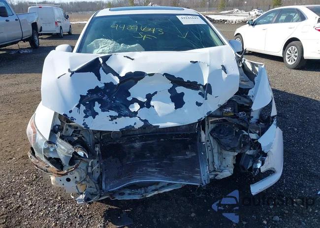 19XFB2F99CE308298: 44241643