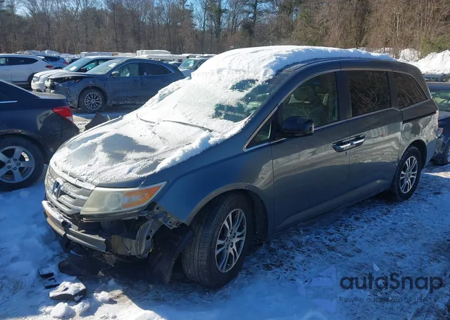 5FNRL5H65CB028404: 44241779