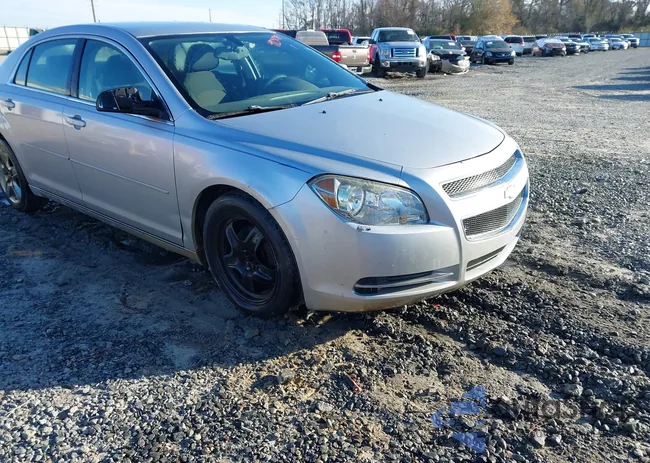 1G1ZC5EB9AF158012: 44242419