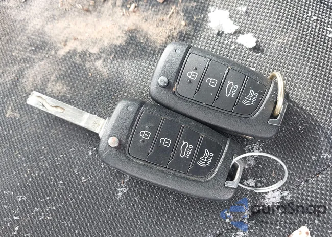 KMHLL4DGXRU667310: 44242653