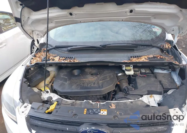 1FMCU9J91EUB11171: 44242835