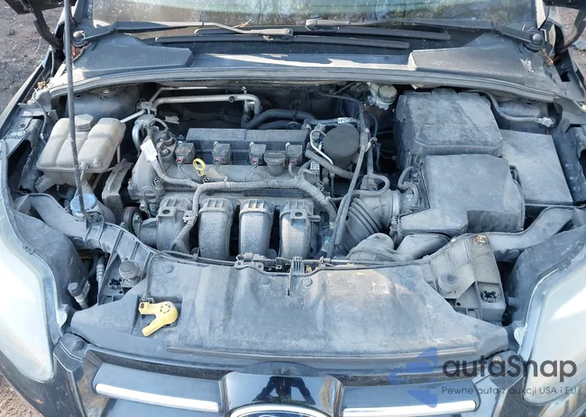 1FADP3J23EL166345: 44241920