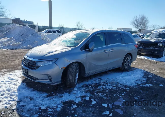 5FNRL6H7XMB041407: 44242020