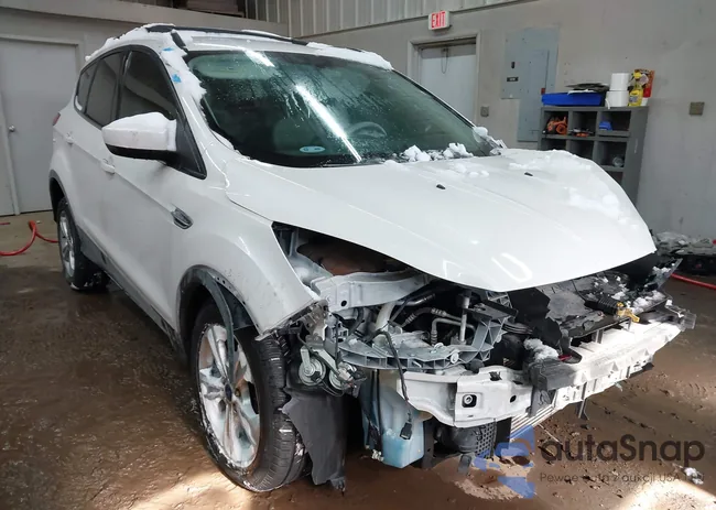 1FMCU0G9XDUB96951: 44242049