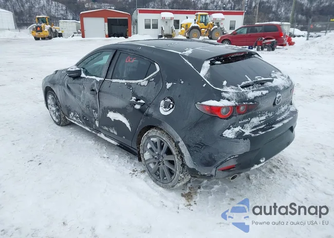 JM1BPALM6P1617545: 44242051